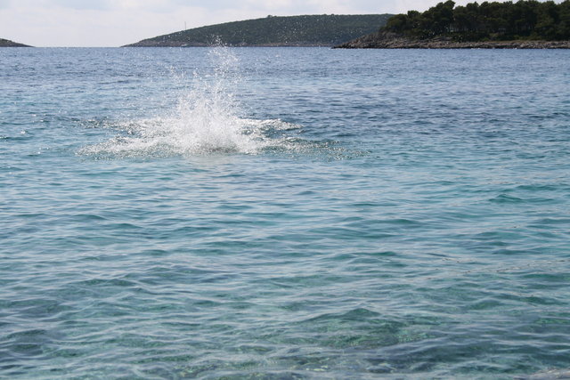 gal/cro 08/small-IMG_4935.JPG